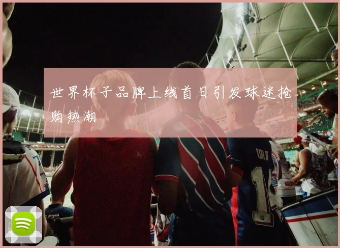 世界杯子品牌上线首日引发球迷抢购热潮