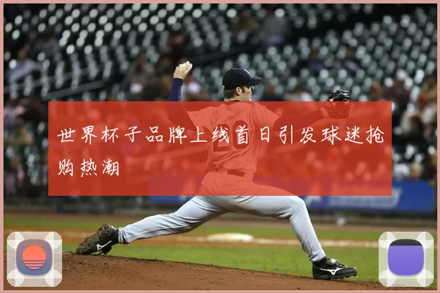 世界杯子品牌上线首日引发球迷抢购热潮