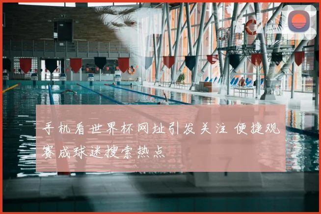 手机看世界杯网址引发关注 便捷观赛成球迷搜索热点