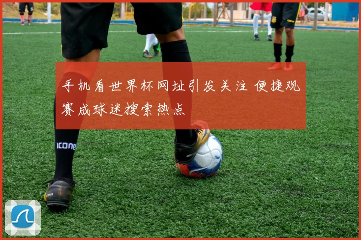 手机看世界杯网址引发关注 便捷观赛成球迷搜索热点