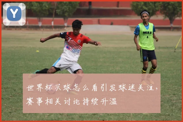 世界杯买球怎么看引发球迷关注，赛事相关讨论持续升温